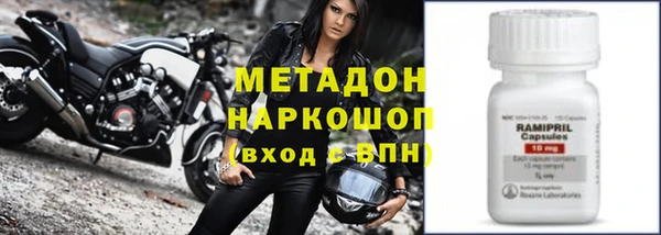 прущие грибы Абаза