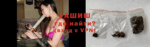 прущие грибы Абаза