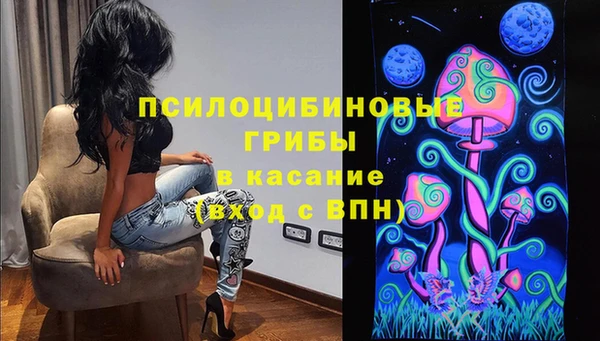 прущие грибы Абаза