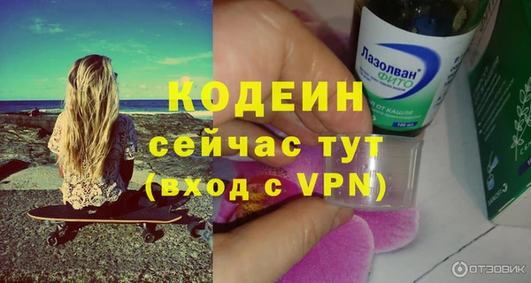прущие грибы Абаза