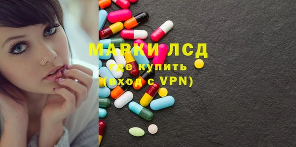 прущие грибы Абаза