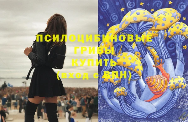 бошки Абинск