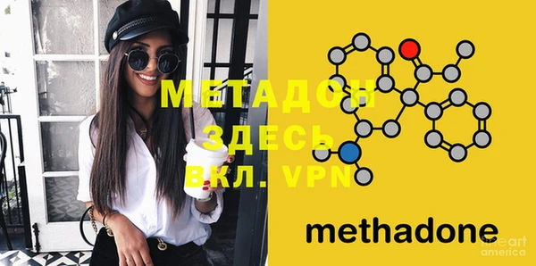 прущие грибы Абаза