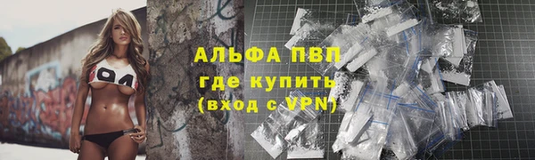 прущие грибы Абаза